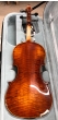 Hidersine Piacenza Violin 4/4 Outfit - B-Stock - CL2047