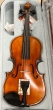 Hidersine Vivente Violin 4/4 Outfit - B-Stock - CL2109