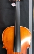 Hidersine Vivente Viola 14inch Outfit - B-Stock - CL1833