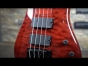 Spector Bass Bantam 4 Short Scale Review