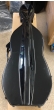 Hidersine Cello Case Fibreglass Black - B-Stock - CL1882