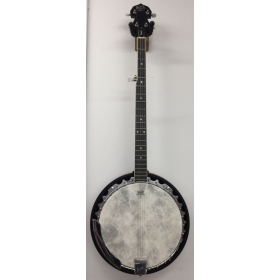 How to Choose the Right Strings for Your Banjo - The Hub