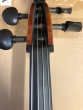 Hidersine Cello Preciso 4/4 Outfit - B-Stock - CL1837