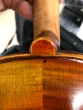 Hidersine Venezia Violin 4/4 - B-Stock - CL1988