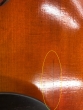 Hidersine Venezia Violin 4/4 - B-Stock - CL1988