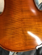 Hidersine Vivente Violin 4/4 Outfit - B-Stock - CL2012