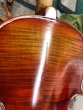 Hidersine Venezia Violin 4/4 - B-Stock - CL2031