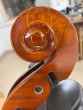 Hidersine Vivente 4/4 Cello Outfit - B-Stock - CL2099