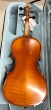 Hidersine Vivente Viola 14inch Outfit - B-Stock - CL1957