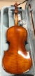 Hidersine Vivente Violin 4/4 Outfit - B-Stock - CL2012