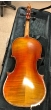 Hidersine Venezia Violin 4/4 - B-Stock - CL2032