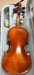 Hidersine Vivente Violin 4/4 Outfit - B-Stock - CL2011