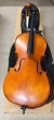 Hidersine Vivente 4/4 Cello Outfit - B-Stock - CL2100