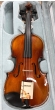 Hidersine Piacenza Violin 4/4 Outfit - B-Stock - CL2047