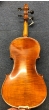 Hidersine Reserve Pianura Violin 305 - B-Stock - CL2003