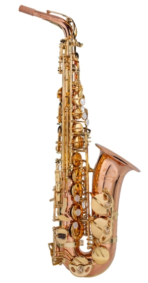 Trevor James Signature Custom Alto Saxophone - Phosophor Bronze Body 