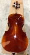 Hidersine Reserve Pianura Cello 302 23-08 - B-Stock - CL1983