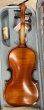 Hidersine Vivente Violin 4/4 Outfit - B-Stock - CL2105