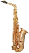 Trevor James EVO Alto Saxophone - Gold Frost