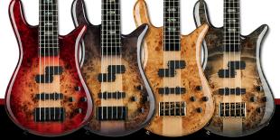 New Euro CST Basses from Spector